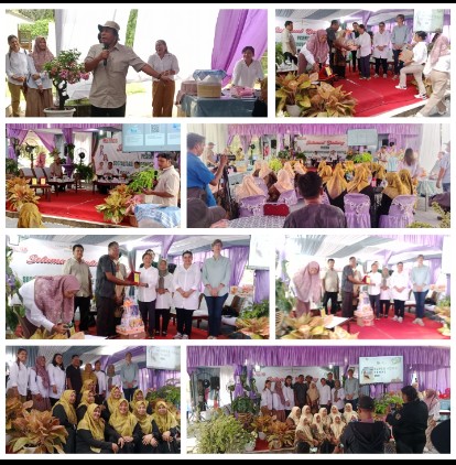 foto slider headline